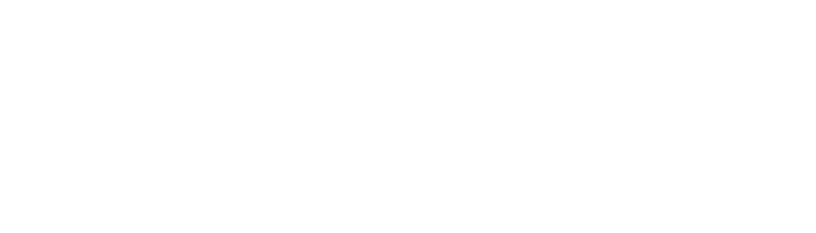 InViDiX logo